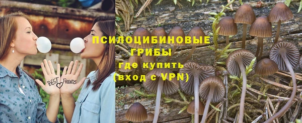 круглые Покачи